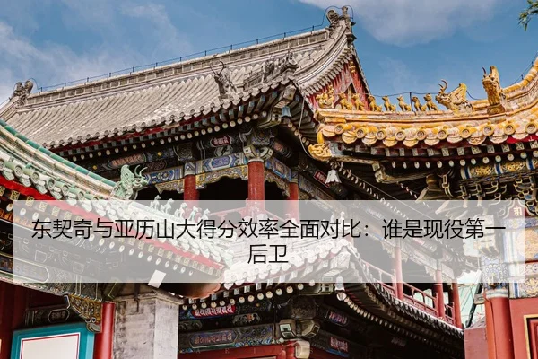 东契奇与亚历山大得分效率全面对比：谁是现役第一后卫